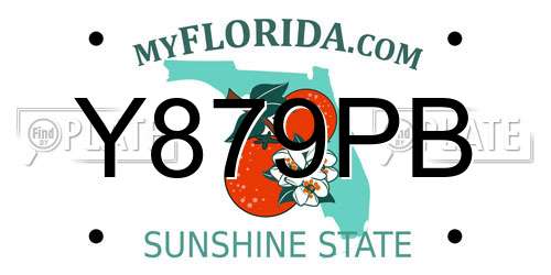 Y879PB Florida License Plate