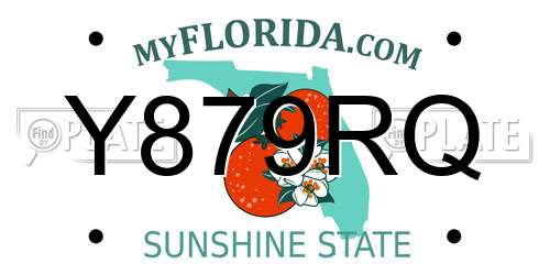 Y879RQ Florida License Plate