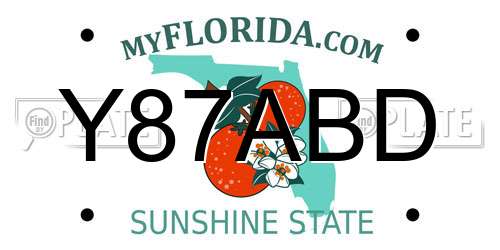 Y87ABD Florida License Plate