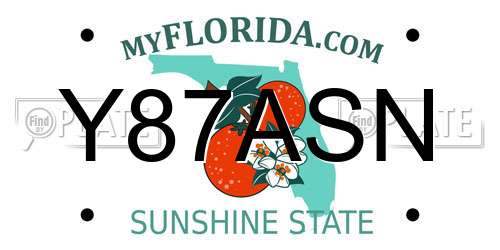 Y87ASN Florida License Plate