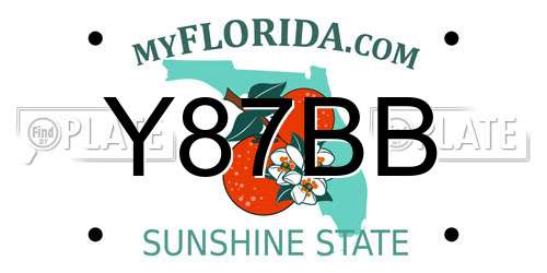 Y87BB Florida License Plate