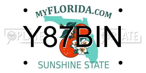 Y87BIN Florida License Plate