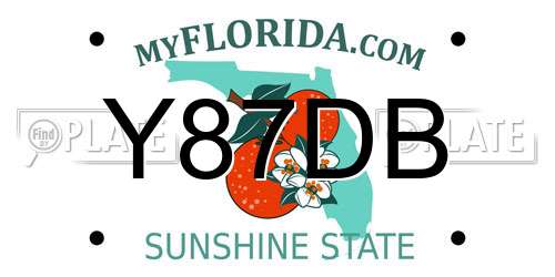 Y87DB Florida License Plate