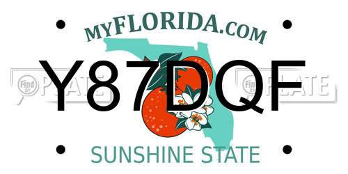 Y87DQF Florida License Plate