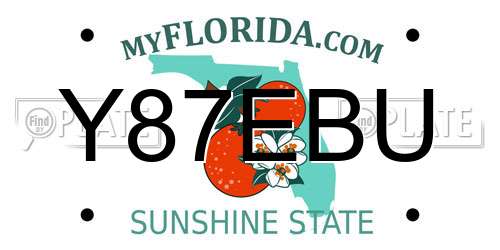 Y87EBU Florida License Plate