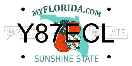 Y87ECL Florida License Plate