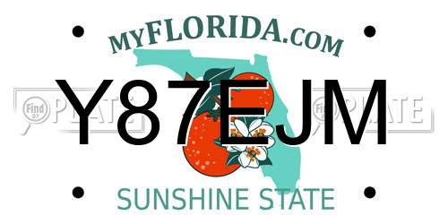 Y87EJM Florida License Plate