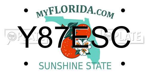 Y87ESC Florida License Plate
