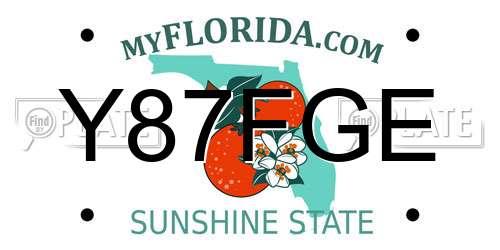 Y87FGE Florida License Plate