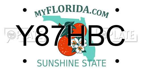 Y87HBC Florida License Plate