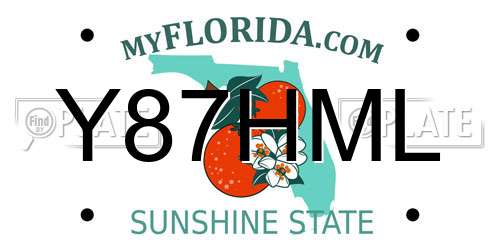 Y87HML Florida License Plate