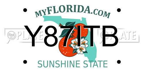 Y87ITB Florida License Plate