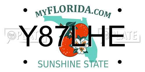 Y87LHE Florida License Plate