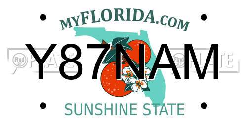Y87NAM Florida License Plate
