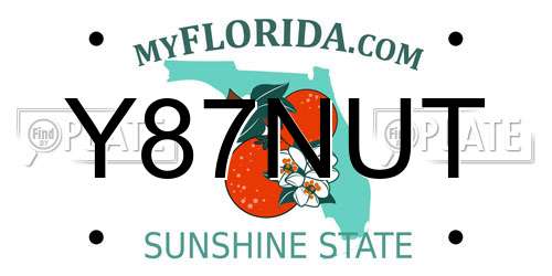 Y87NUT Florida License Plate