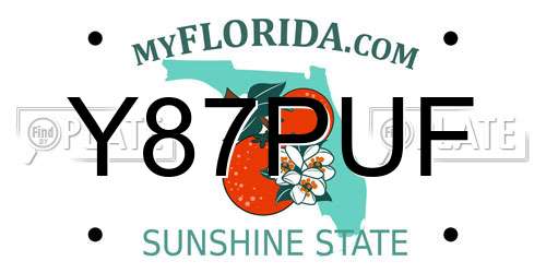 Y87PUF Florida License Plate