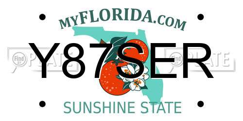 Y87SER Florida License Plate
