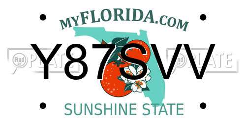 Y87SVV Florida License Plate
