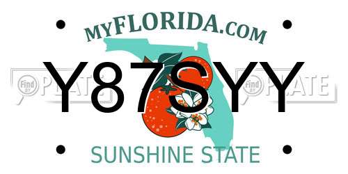 Y87SYY Florida License Plate