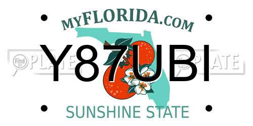 Y87UBI Florida License Plate