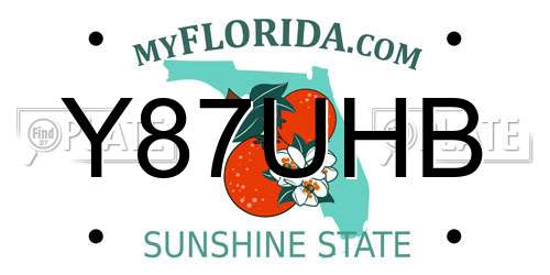 Y87UHB Florida License Plate