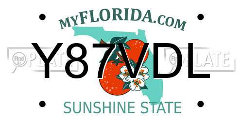 Y87VDL Florida License Plate
