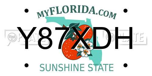 Y87XDH Florida License Plate