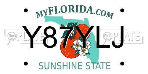Y87YLJ Florida License Plate