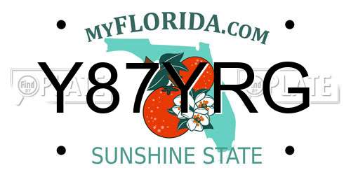 Y87YRG Florida License Plate