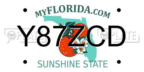 Y87ZCD Florida License Plate