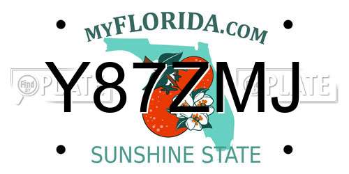 Y87ZMJ Florida License Plate