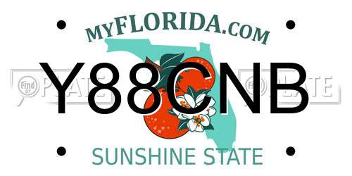Y88CNB Florida License Plate