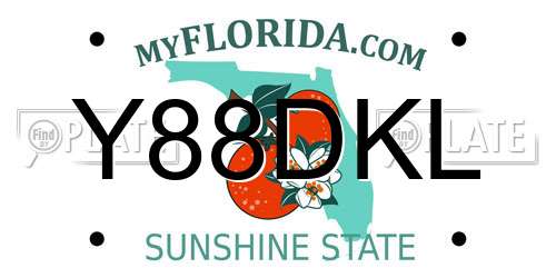 Y88DKL Florida License Plate