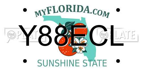 Y88ECL Florida License Plate