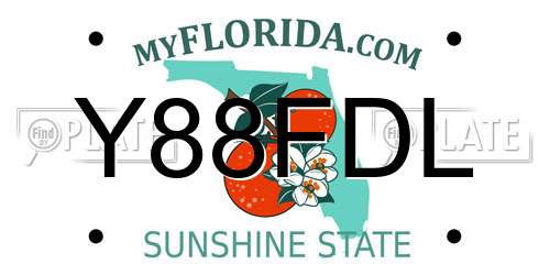 Y88FDL Florida License Plate