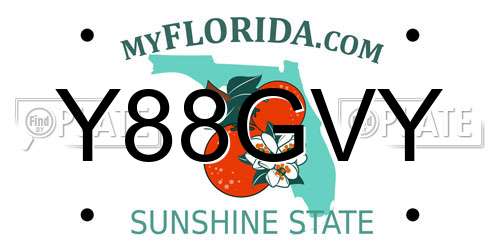 Y88GVY Florida License Plate