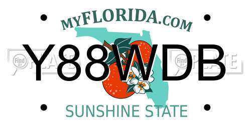Y88WDB Florida License Plate