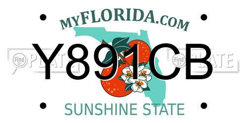 Y891CB Florida License Plate