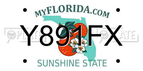 Y891FX Florida License Plate