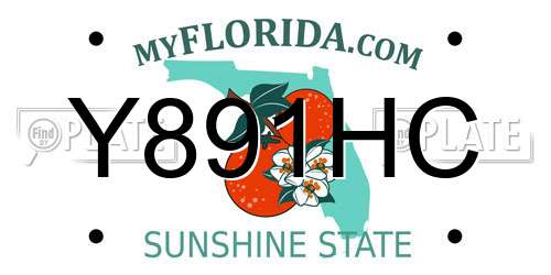 Y891HC Florida License Plate