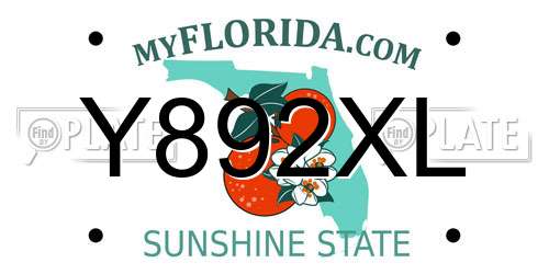 Y892XL Florida License Plate