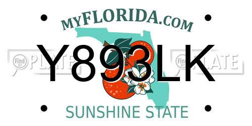 Y893LK Florida License Plate