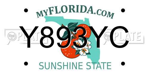 Y893YC Florida License Plate