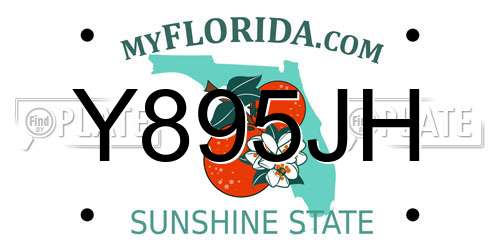 Y895JH Florida License Plate