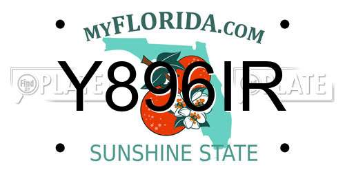 Y896IR Florida License Plate