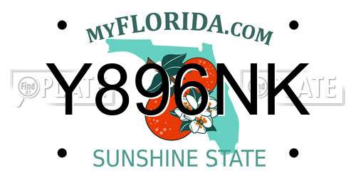 Y896NK Florida License Plate