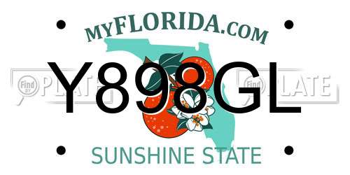 Y898GL Florida License Plate
