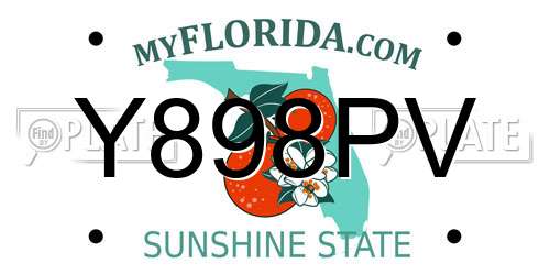 Y898PV Florida License Plate