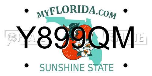 Y899QM Florida License Plate