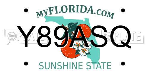 Y89ASQ Florida License Plate